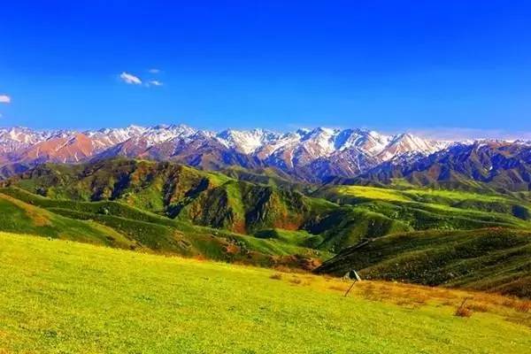 https://mmbiz.qlogo.cn/mmbiz_jpg/9wic2OIJVAWbGo7wvqibYjUMUlTypWYB01LNBdwBGsoQaiboQsUPicDJgTH7icStbWvZn53CQhBhU2CbCjLPsNtIdeQ/0?wx_fmt=jpeg