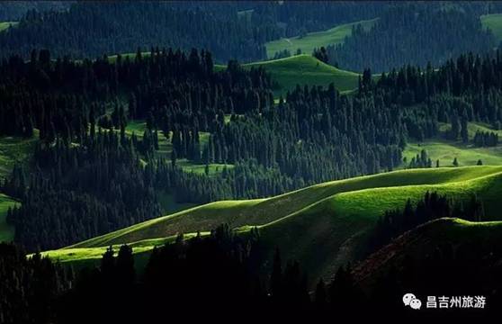 20070630132806j2.jpg