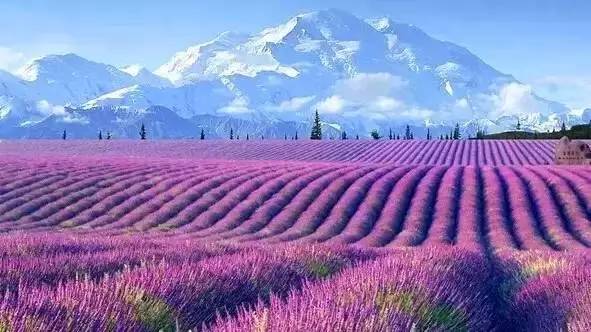 https://mmbiz.qlogo.cn/mmbiz/giaE4iaUME1lYmTNNrWibaAcWqtuDPVlb6u2fCpdhenGlfODFbRAqEEIFcu1TcKK6OciaUibg5egBZL0qz6ZufKGttA/640?