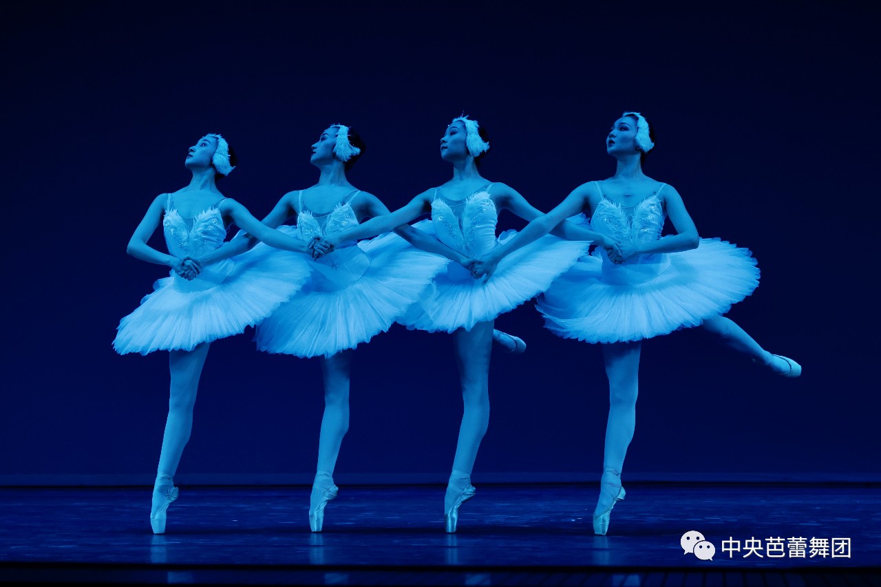 《四小天鹅》(选自古典芭蕾舞剧《天鹅湖》第二幕)表演者:周月,曲曼